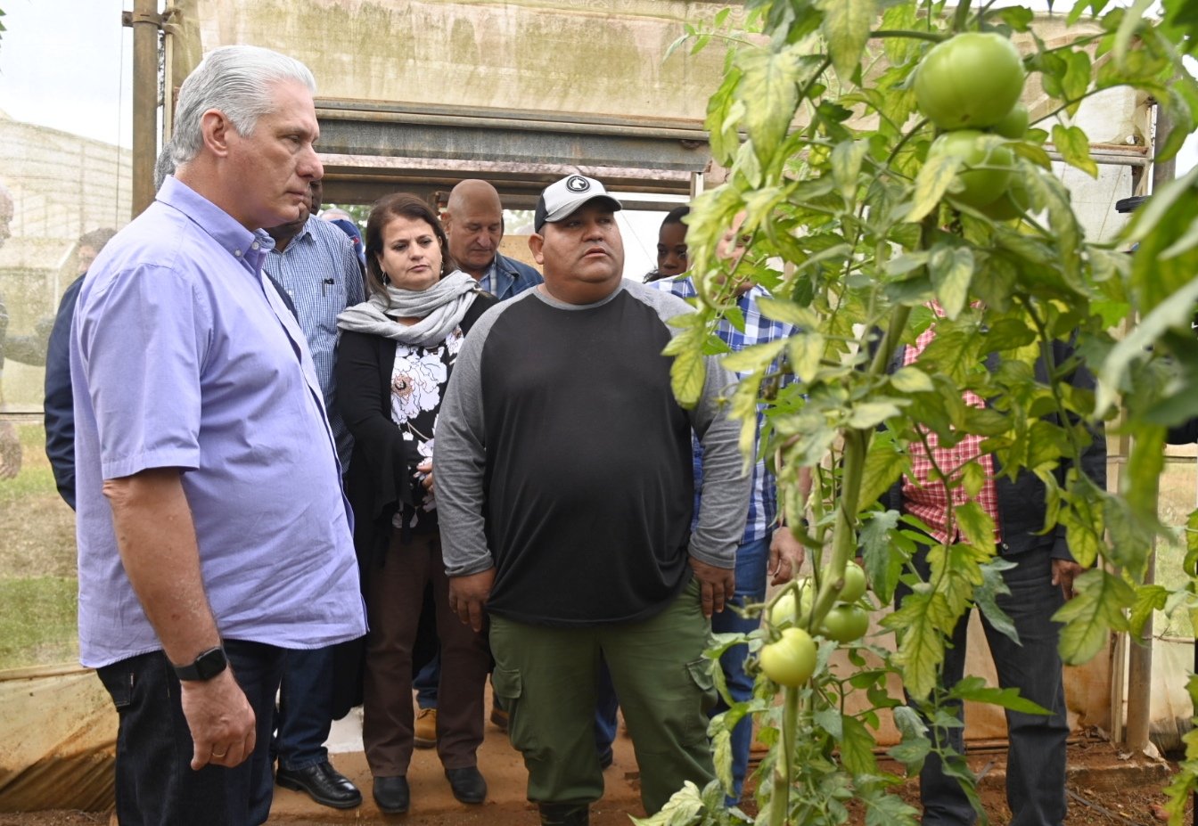 Arroyo Naranjo sigue abriendo cauces desde el trabajo Cuba Si