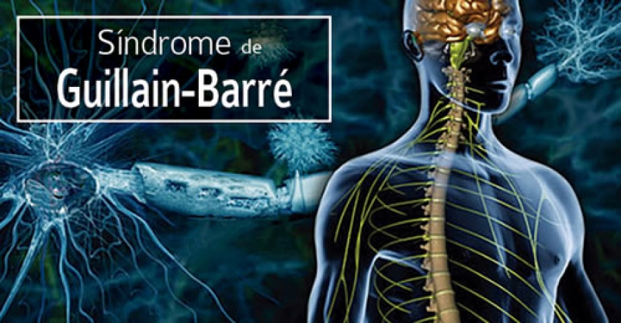 Oms Síndrome Guillain Barre En Latinoamérica Sin Vínculo Demostrado