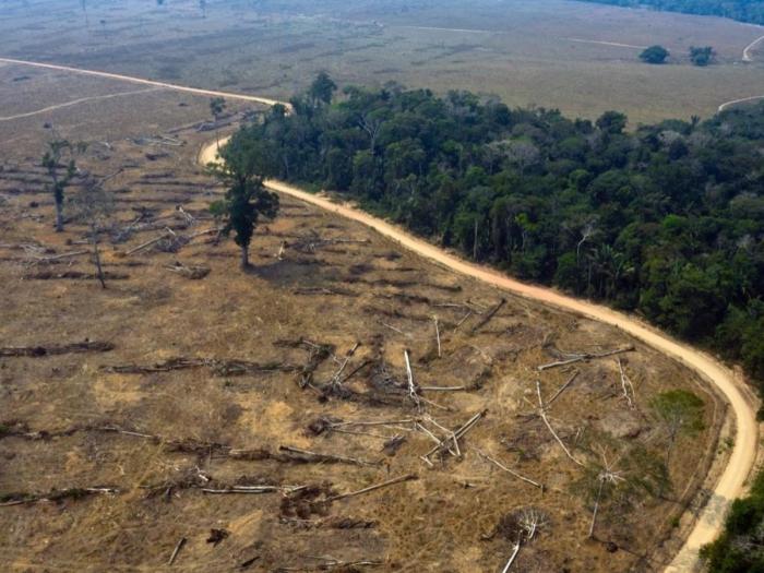 brasil deforestacion