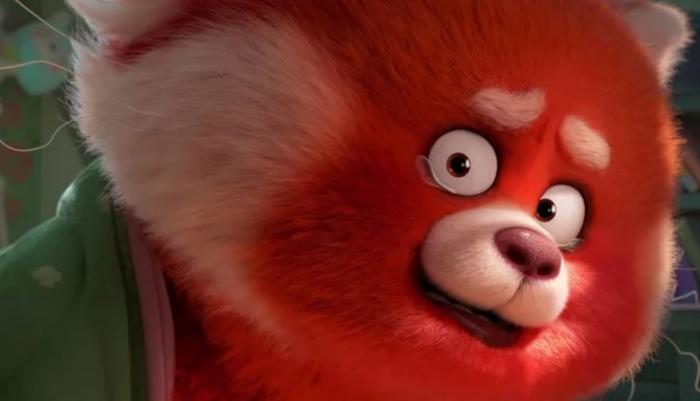 My Panda, My Decision: Why is Red an Awkward Movie?