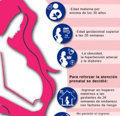Embarazadas y COVID-19 (Infografía)