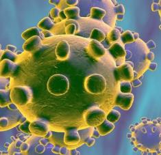  Según cuentan las autoridades de las dos pequeñas ciudades, la población no esperaba el golpe pandémico y las medidas para prevenir el contagio del coronavirus SARS-CoV-2 tardaron en ser acatadas.