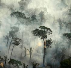 Investigadores hallaron evidencia de que la Amazonía brasileña "ahora es un emisor neto" del gas que incide en el calentamiento global. Foto: Bruno Kelly / Reuters 
