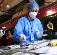 Las aduanas chinas anunciaron la suspensión de importaciones de empresas por una semana si los productos resultan contaminados por primera vez, y durante un mes si es reiterativo. Foto: Reuters