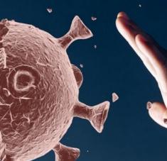 Suman 135 los representantes del sector internados, y aseveró que los cuatro casos positivos informados el pasado martes evolucionan de manera satisfactoria.