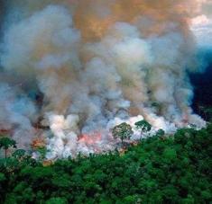 En lo que va de año, se detectaron en el humedal de Pantanal un total de 4.203 focos de incendios. Foto: Pulso