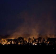 La cifra fuegos en la Amazonía representa la cuarta parte de todos los incendios registrados en los primeros diez meses de 2020. Foto: Reuters