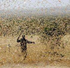 Las organizaciones internacionales alertan sobre una situación humanitaria "excepcionalmente compleja" y "sin precedentes" en la región, que puede llevar a unas consecuencias muy graves para su población. Foto: Reuters.