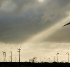 El jefe de Estado expresó que su Gobierno no rechaza las energías renovables, sino que se favorezca al sector privado por sobre el público. Foto: EFE