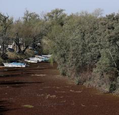 El Gobierno prevé la afectación sobre el abastecimiento y calidad del agua potable, la navegación, el ecosistema, la fauna y la generación de energía hidroeléctrica. Foto: Reuters.