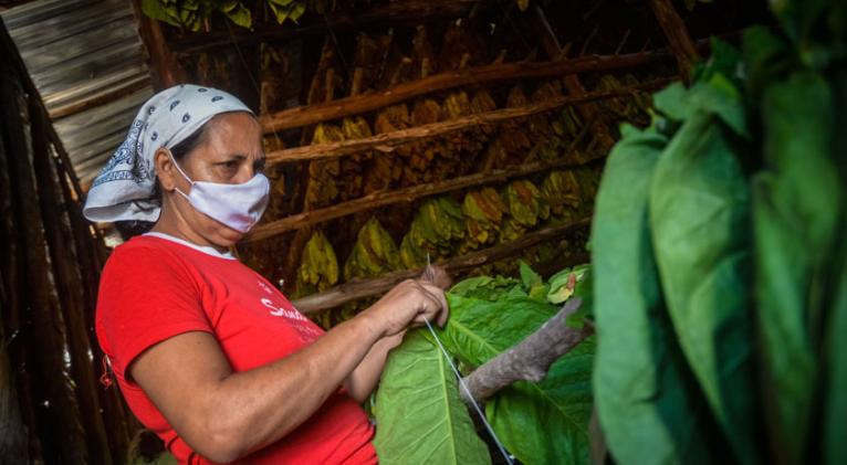 Foto: Yaciel Peña de la Peña