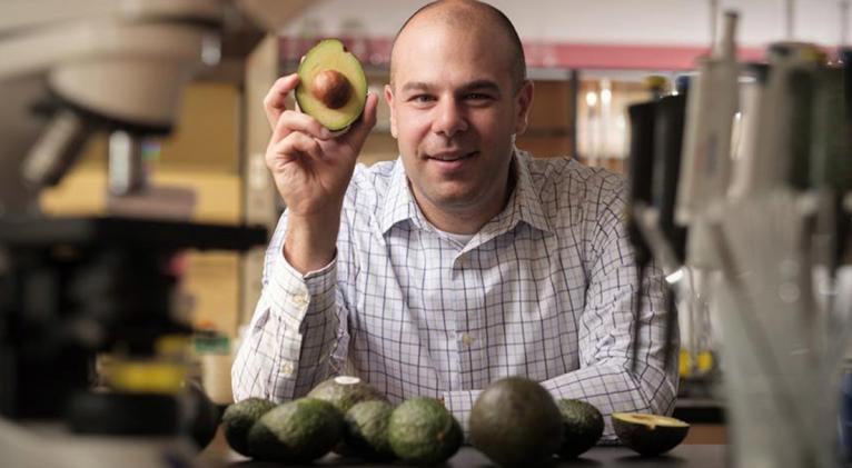 Científicos de EE.UU. y Canadá han encontrado un compuesto de la fruta con la capacidad de inhibir una enzima que promueve el crecimiento de las células malignas de la leucemia. Foto: El investigador Paul SpagnuoloUniversity of Guelph. 