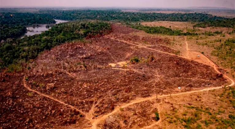 Deforestación En La Amazonia Brasileña Alcanza El Nivel Anual Más Alto En Una Década Cuba Si 5043