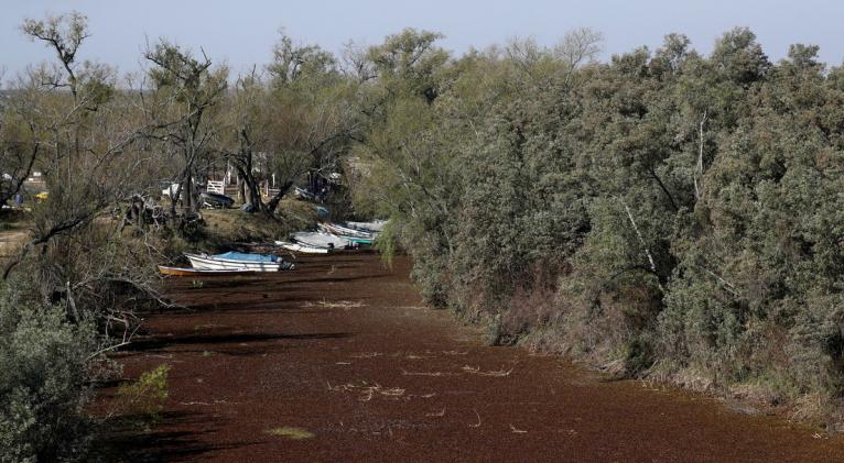 El Gobierno prevé la afectación sobre el abastecimiento y calidad del agua potable, la navegación, el ecosistema, la fauna y la generación de energía hidroeléctrica. Foto: Reuters.