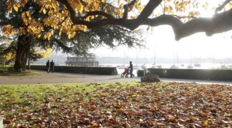 Jardines verticales, drones y recolectores de contaminación, son algunas innovaciones para lograr un mundo sostenible. Foto: Reuters