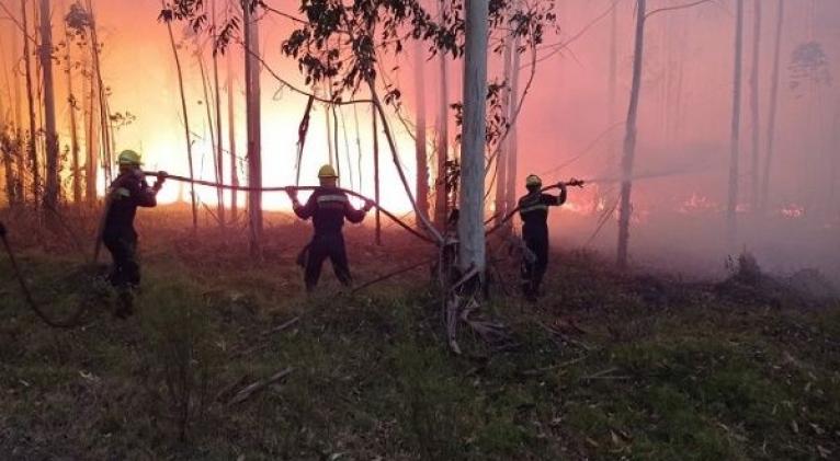 El Ministerio del Interior de Uruguay precisó que, del total de hectáreas afectadas, 14.600 son forestadas. Foto: Twitter @Minterioruy