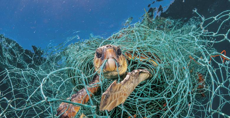 SOS por el medioambiente