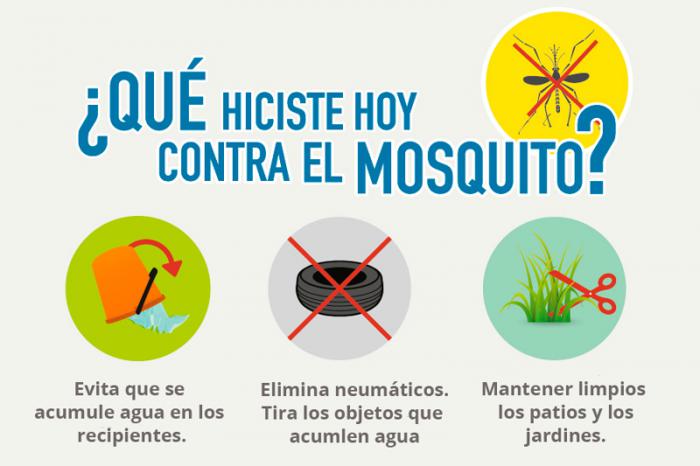 1001 eliminar mosquito aedes
