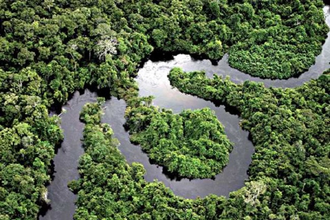 cuenc del amazonas internet