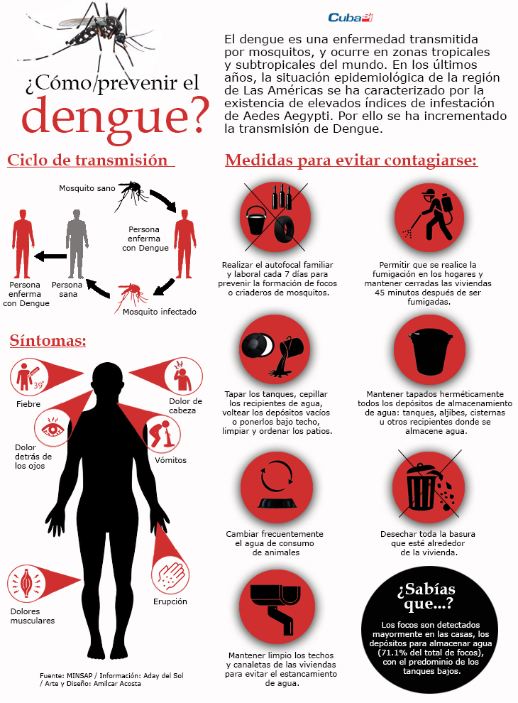 infografia dengue cubasi 1