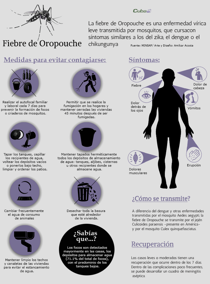 infografia-fiebre-de-oropouche-cubasi_0.jpg