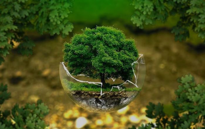 Cambio climático: en 2028 se intensificarán lluvias y sequías