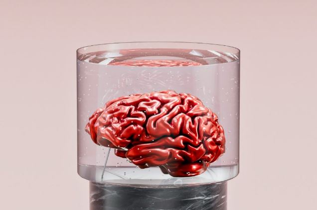 cerebro inteligencia artificial