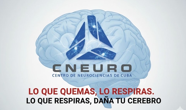 Daños por la quema de basura Daños por la quema de basura