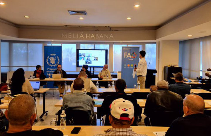 Taller organizado por la FAO y PMA.