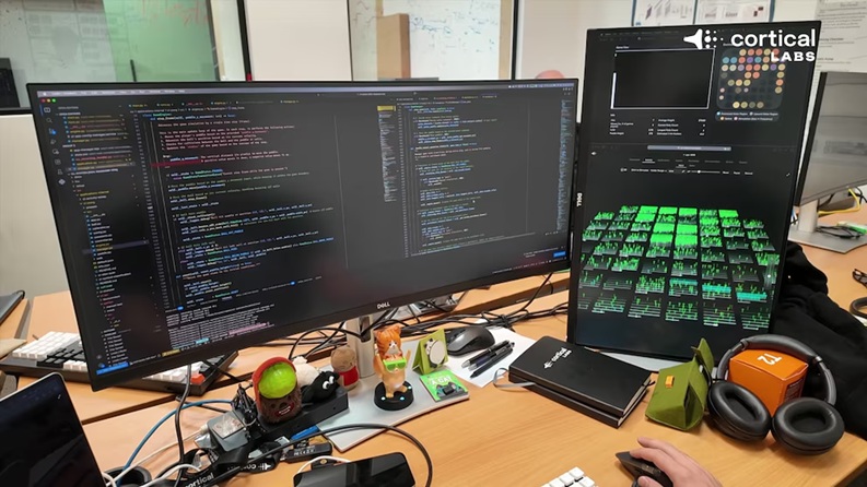 computadora biológica