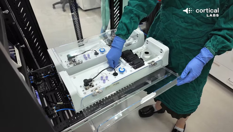 computadora biológica