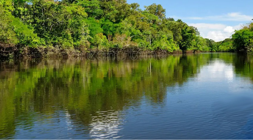Río Amazonas