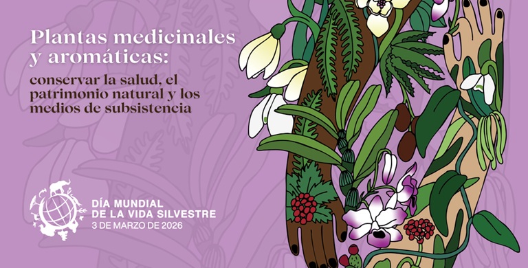 Plantas medicinales y aromáticas