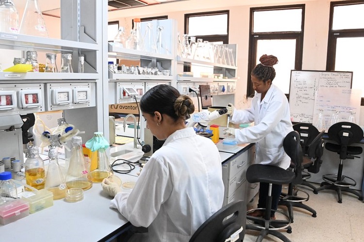 Investigadores del CIGB