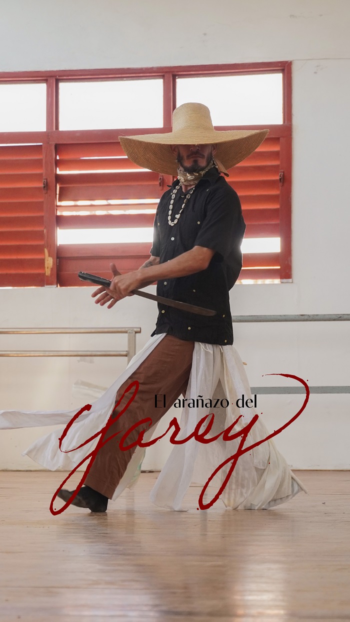 Obra de Perro Callejero Obra de Perro Callejero