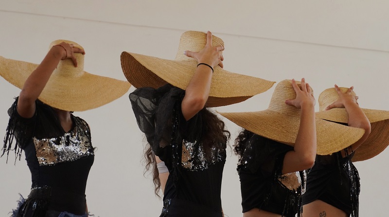 El arañazo del yarey El arañazo del yarey