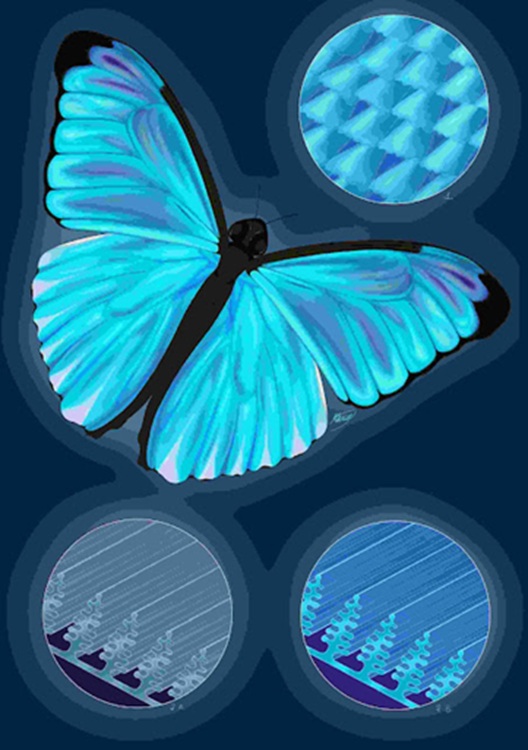 Color morpho-estructural. Representación de las escamas de las alas de una mariposa Morpho, de las crestas a escala nanométrica sin luz y con luz 