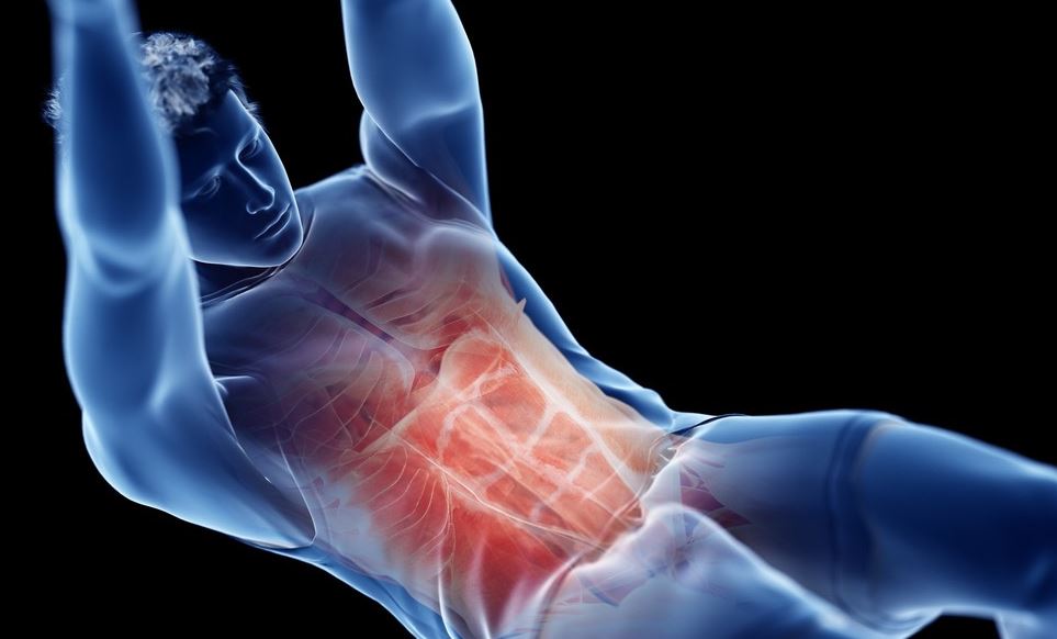Contraer abdominales podría beneficiar la salud cerebral