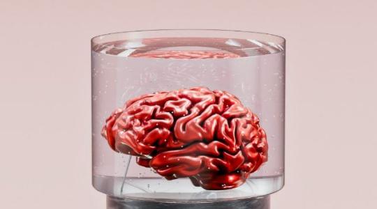 cerebro inteligencia artificial