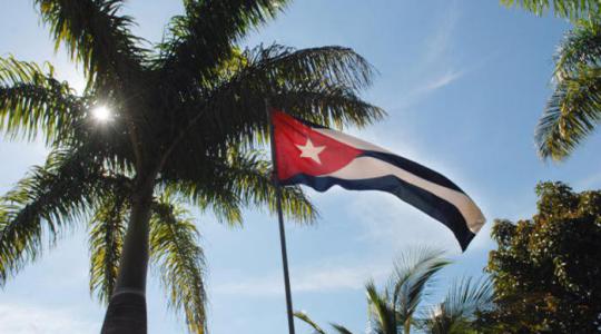 Bandera cubana y palma real