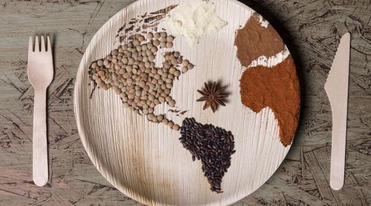 Imagen ilustrativa de plato donde semillas representan los continentes