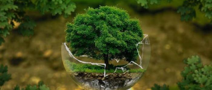 Cambio climático: en 2028 se intensificarán lluvias y sequías