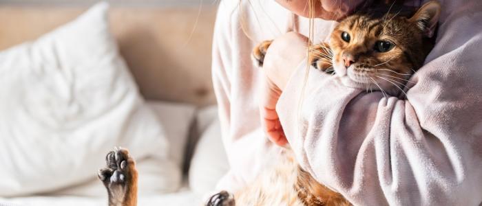 Persona abraza a su gato