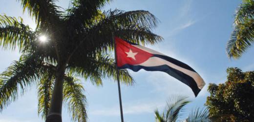 Bandera cubana y palma real